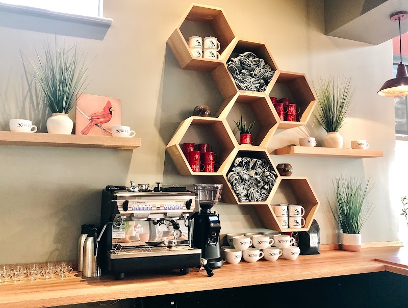 Young Cardinal Cafe and Co. photo 3